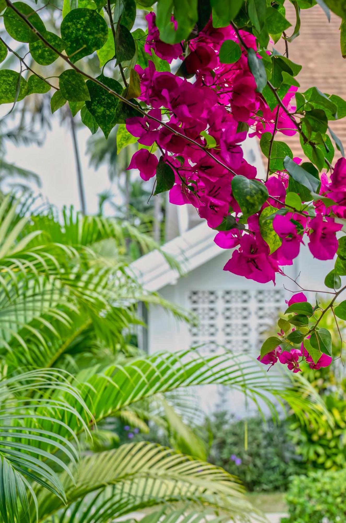 Chic Stay Hana Boutique Hotel Luang Prabang Esterno foto